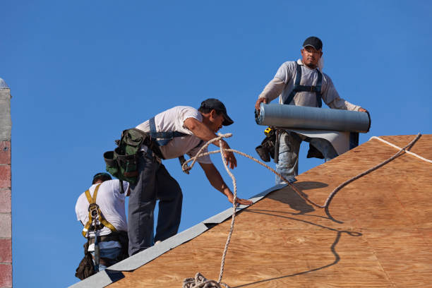 Best Roof Gutter Cleaning  in Thornwood, NY